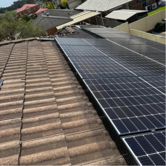 professional-bird-proofing-2