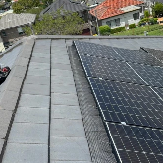 professional-bird-proofing-3