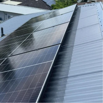 professional-bird-proofing-5