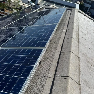 professional-bird-proofing-7